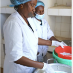 Des femmes éleveuses confrontées au défi de la transformation des produits laitiers - Mousso