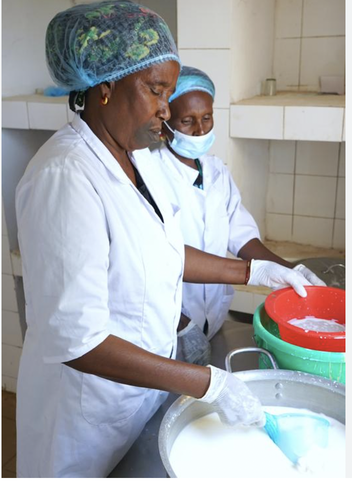 Des femmes éleveuses confrontées au défi de la transformation des produits laitiers - Mousso