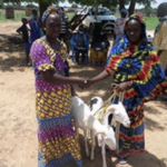 Femmes éleveuses, la force de la sororité - Mousso