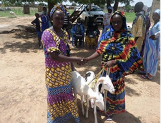 Femmes éleveuses, la force de la sororité - Mousso