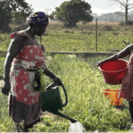 Tambanoumouya : quand les femmes font vivre la terre - Mousso