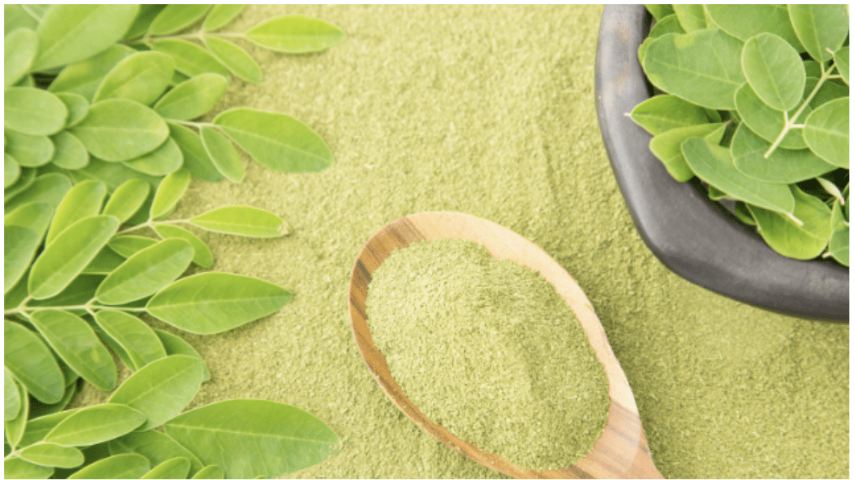 Le Nébeday (moringa) ne guérit pas le diabète, il cache juste le sucre - Mousso