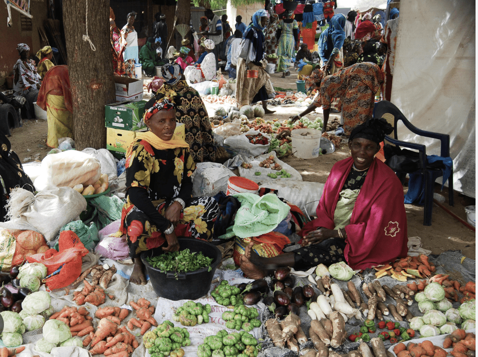 Marché de Ndogolé : au cœur du commerce maraîcher, les femmes en première ligne - Mousso