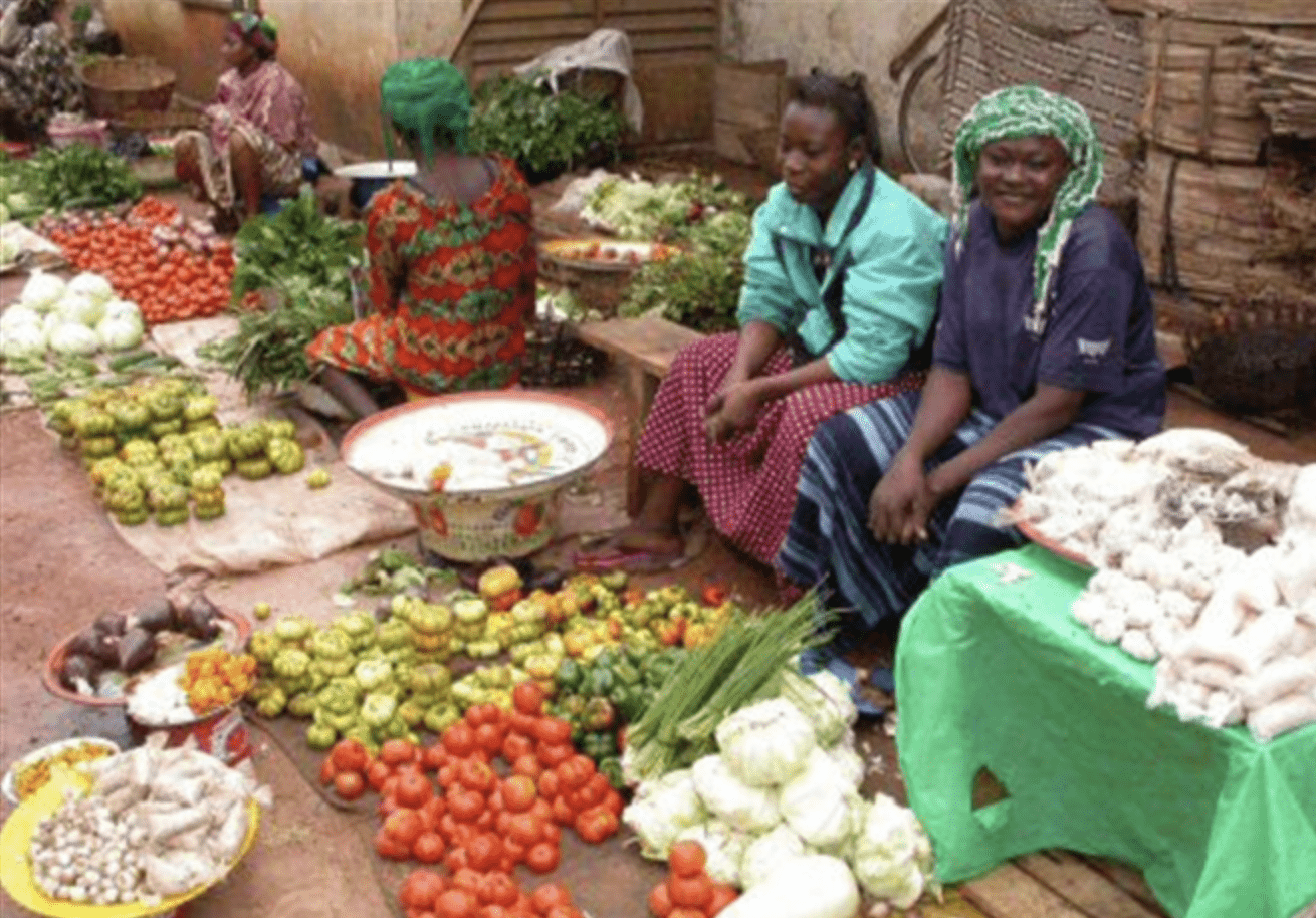 Accès difficile au financement des femmes : À Ndogolé, la solidarité remplace les banques - Mousso