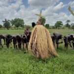 O’luckta : la danse rituelle des masques qui marque le début des semis en pays Bassari - Mousso