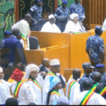 Violences à l'Assemblée nationale : des femmes leaders appellent à un sursaut républicain - Mousso